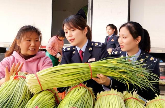 徐州税务精准助力"品牌农业"走俏市场