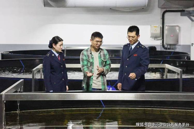 企业有啥急难愁盼 税务调研助力解决